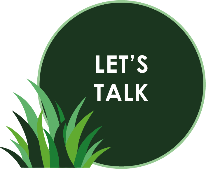 Talk